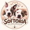 SoftOria - Accueil